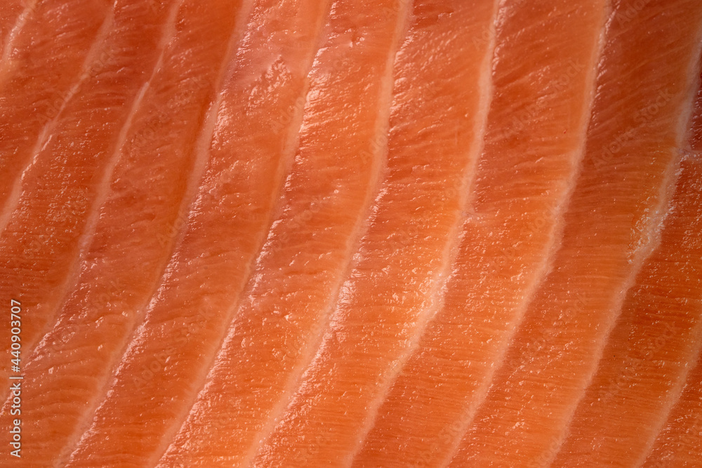 Close up of raw salmon fillet. Fish Texture.