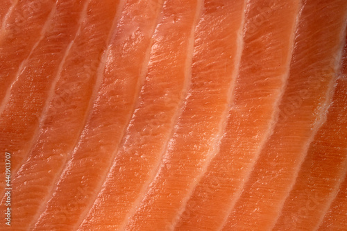 Close up of raw salmon fillet. Fish Texture.