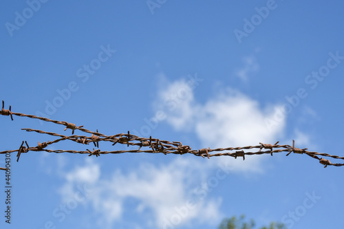 Barbed wire fence with blue sky and white cloud background concept for freedom, deprive,zoning, limit,stop, border.