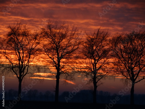 Under a bloodred sky. Dramatic sunset. Deep red colours. Bloedrode zonsondergang. Panoramic view. Background