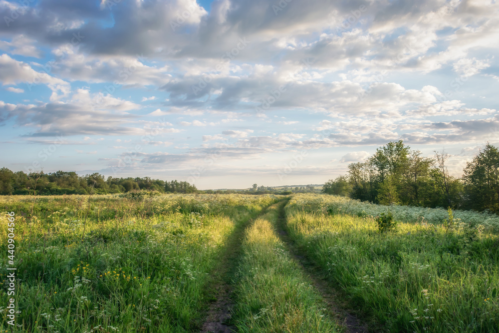 Country road through a meadow with tall grass and wildflowers on a summer morning. The sky with beautiful cumulus clouds is illuminated by morning light. The road disappears over the horizon. Russia (