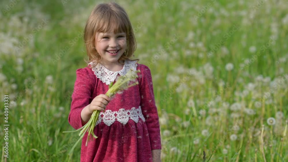 Portrait of a cute little girl in a green garden with dandelions in her hands. children emotions. Portrait of a cute little girl in a green garden with dandelions in her hands. children emotions.