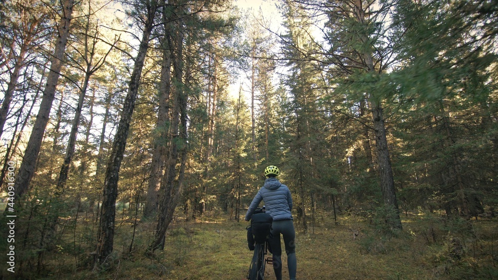 The woman travel on mixed terrain cycle touring with bike bikepacking outdoor. The traveler journey with bicycle bags. Stylish bikepacking, bike, sportswear in green black colors. Magic forest park. The woman travel on mixed terrain cycle touring with bike bikepacking outdoor. The traveler journey with bicycle bags. Stylish bikepacking, bike, sportswear in green black colors. Magic forest park.