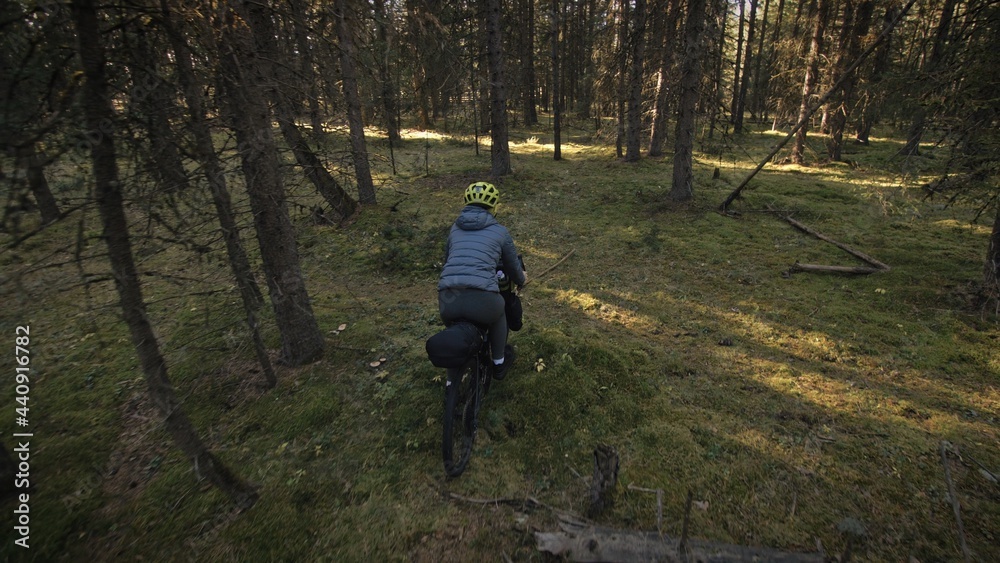 Fototapeta premium The woman travel on mixed terrain cycle touring with bike bikepacking outdoor. The traveler journey with bicycle bags. Stylish bikepacking, bike, sportswear in green black colors. Magic forest park.