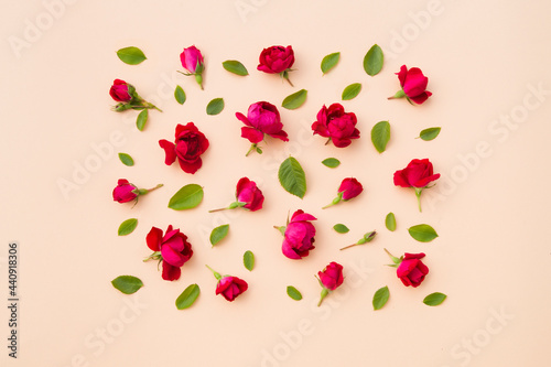 Flat lay, copy space. Summer composition with  flowers  roses and leaves  on a beige background.