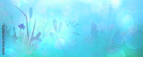 Meadow wild flowers, herbs,...