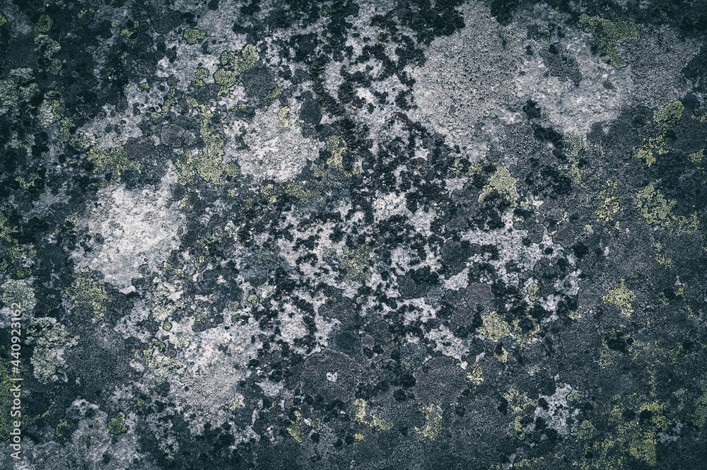 Lichen on granite stone background. Abstract gray background texture.