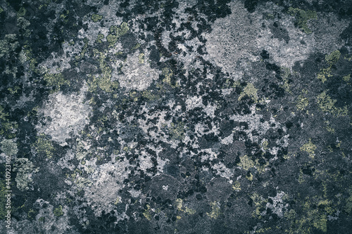 Lichen on granite stone background. Abstract gray background texture. © Silver