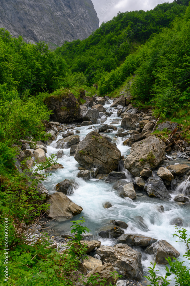 wild flowing Sandbach creek in Sandwald, Linthal Glarus wild flowing Sandbach creek in Sandwald, Linthal Glarus