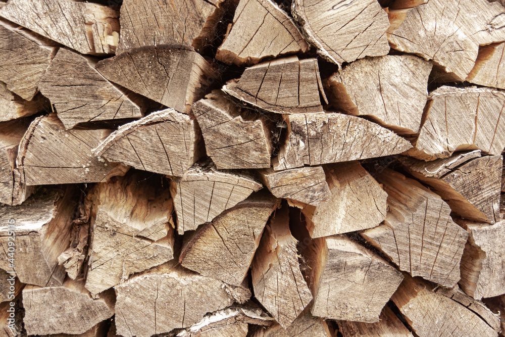 Firewood, dry chopped trees, natural background Firewood, dry chopped trees, natural background