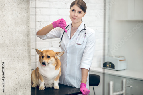 Young female vet with a cute corgi in clinic