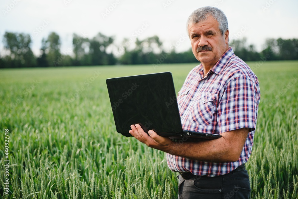 modern farmer checking his wheat field and working on laptop computer modern farmer checking his wheat field and working on laptop computer