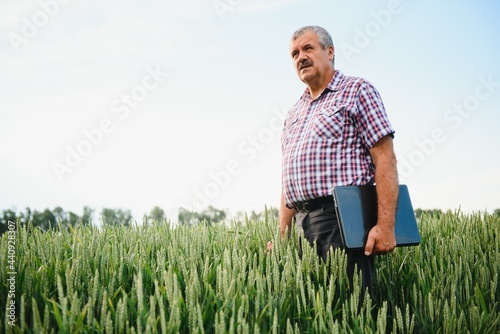 Farmer with laptop Inspecting Wheat on the field © Serhii