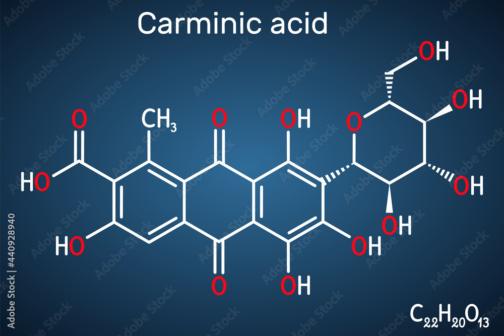 Carminic acid molecule. It is сoloring matter, red glucosidal hydroxyanthrapurin. It is used in foods, pharmaceuticals. Structural chemical formula on the dark blue background. Vector illustration