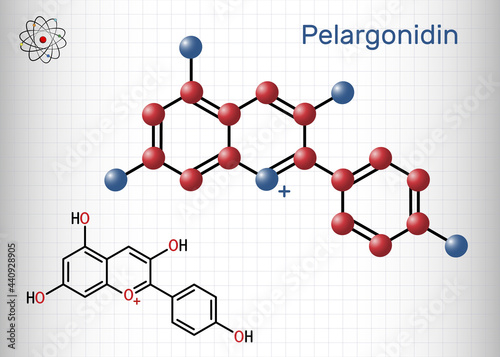 Pelargonidin molecule. It is anthocyanidin cation, plant pigment, orange color. Structural chemical formula and molecule model. Sheet of paper in a cage