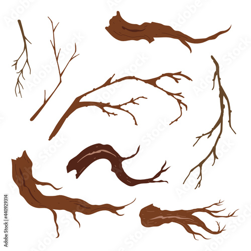 Collection of hand-drawn dry branches. Flat organic style. Isolated on white background.