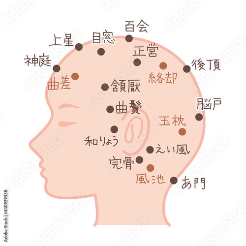 わかりやすい頭のツボの図解イラスト素材・横向き