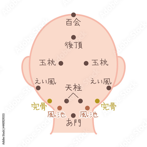 わかりやすい頭のツボの図解イラスト素材・後ろ向き
