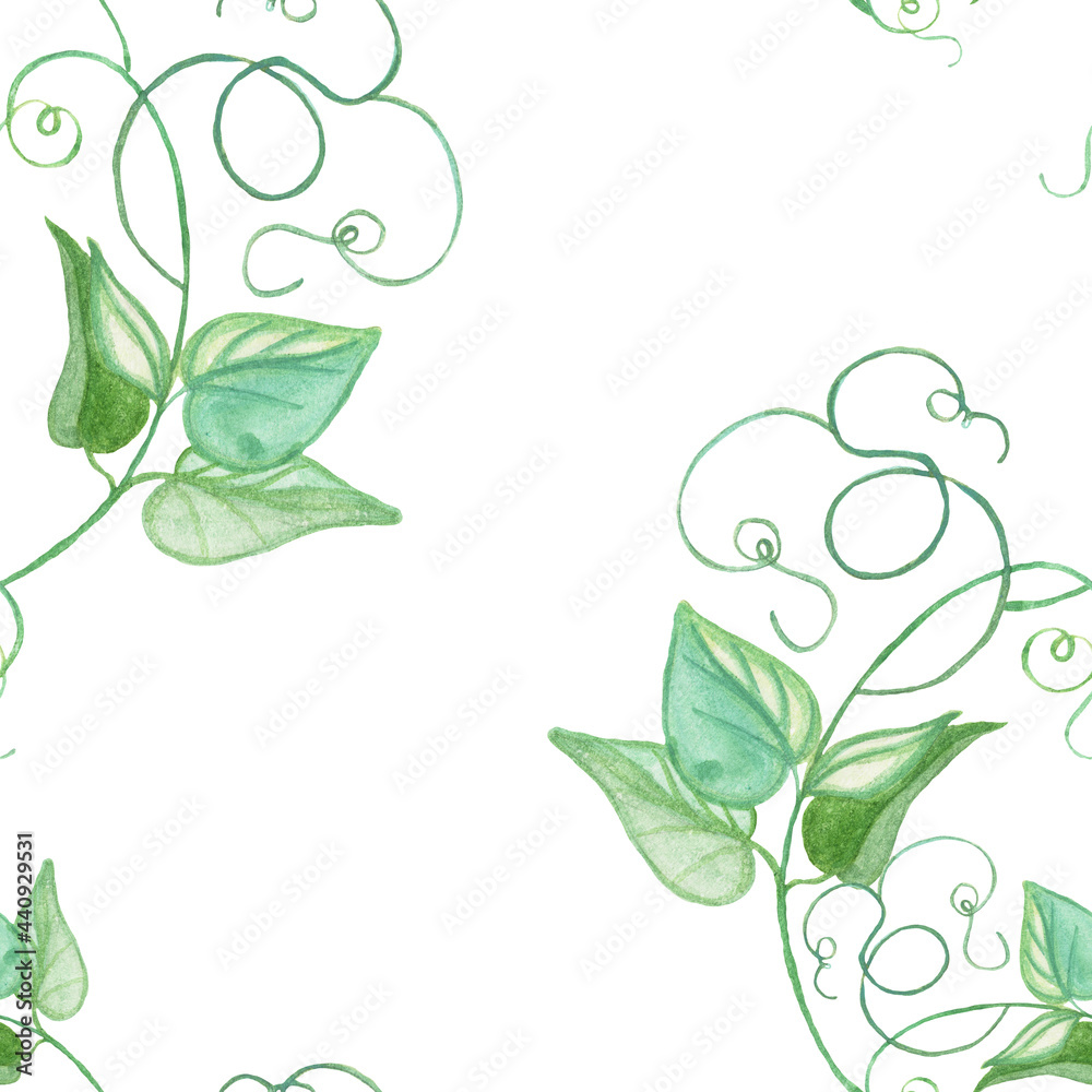 Obraz premium vegetable seamless pattern vine with leaves, curly pattern