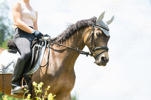 Reiterin mit Pferd/Pony