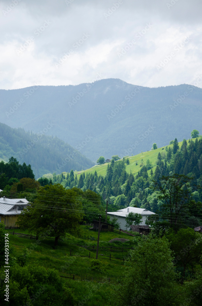 Fototapeta premium Beautiful green landscape. Summer day in the Carpathian Mountains.