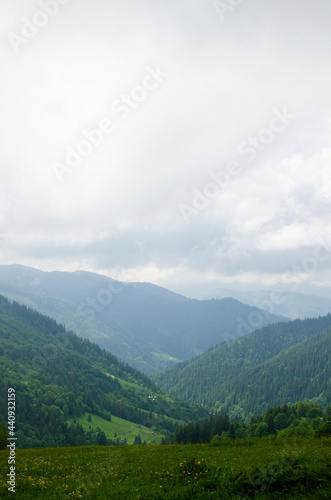 Beautiful green landscape. Path to the top. Cloudy day in the Carpathian Mountains.