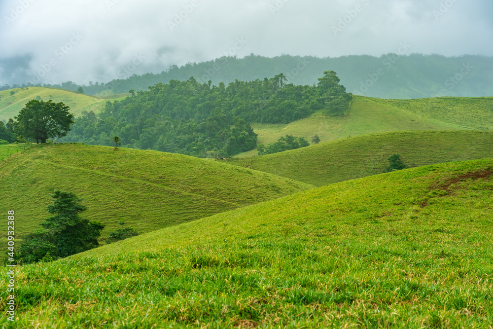Fototapeta premium Tablelands lush green landscape covered by fog