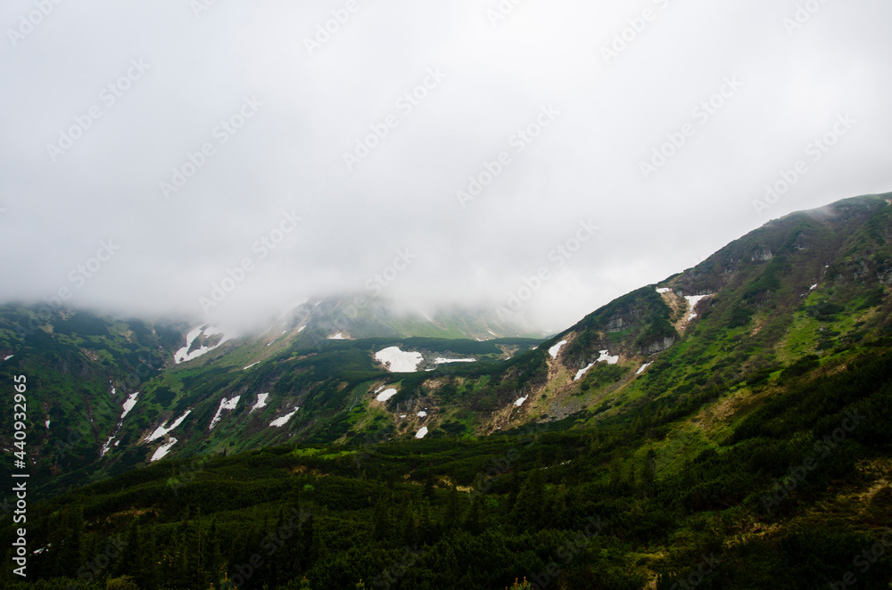 Beautiful green landscape with snow and top of the mountains in the fog.