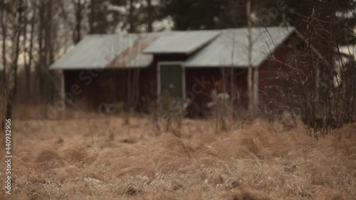 old abandoned farm house barn in a forest in sweden with strong wind