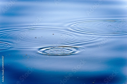 Circles on the pond water