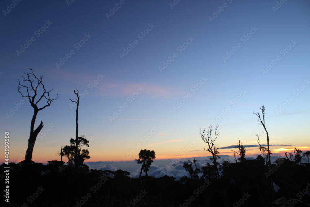 Twilight on the mountain tops, above the clouds, dry trees