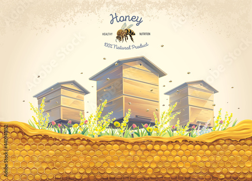 Bee apiary with honeycomb in the foreground and  illustration of a bee as a design element.