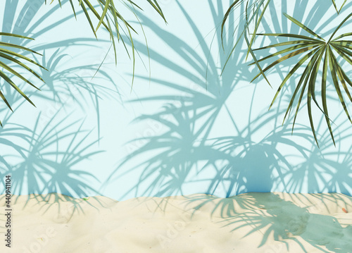 palm tree shadows on wall
