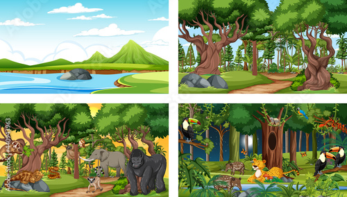 Different nature scenes of forest and rainforest with wild animals