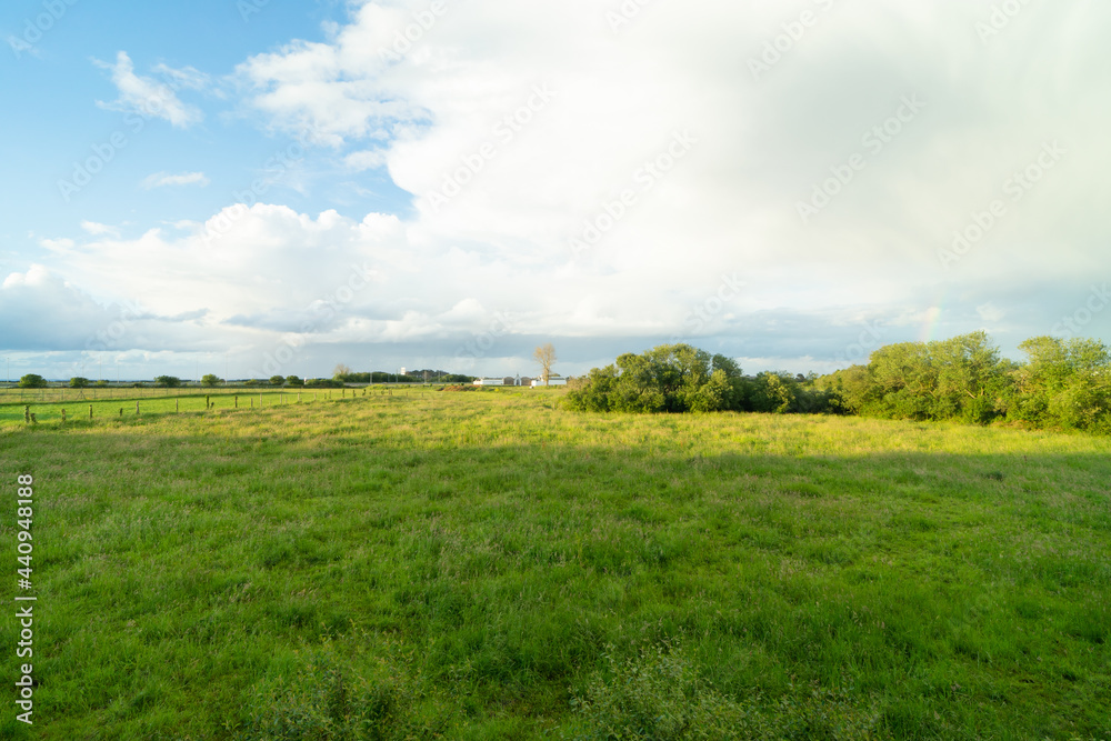 Landscape of meadows and trees with cloudy sky.