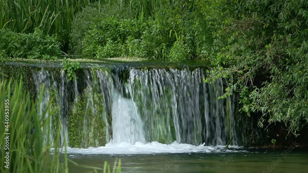 Beautiful small forest waterfall with dense marsh vegetation, with audio.