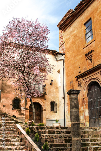 Cherry tree in bloom next to San Miguel Arcangel parish in Alcaraz photo