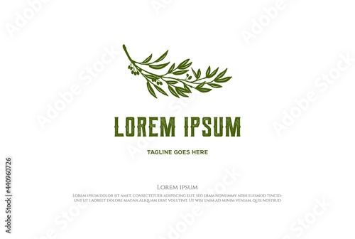 Green Eucalyptus Branch Leaf for Nature Oil Product Logo Design Vector
