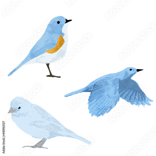 青い鳥の水彩ベクターイラストセット
