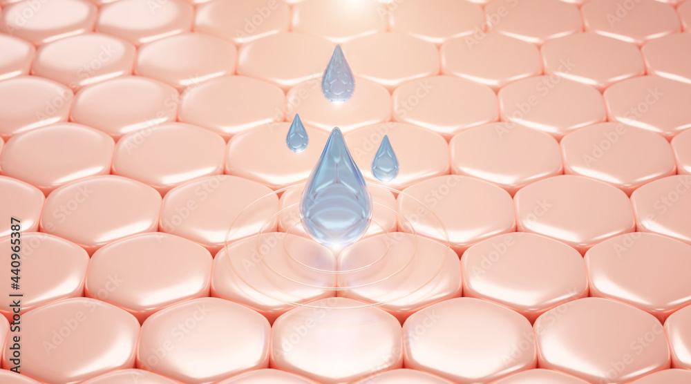 serum and vitamin drop on skin cell. serum through the skin layer and ...
