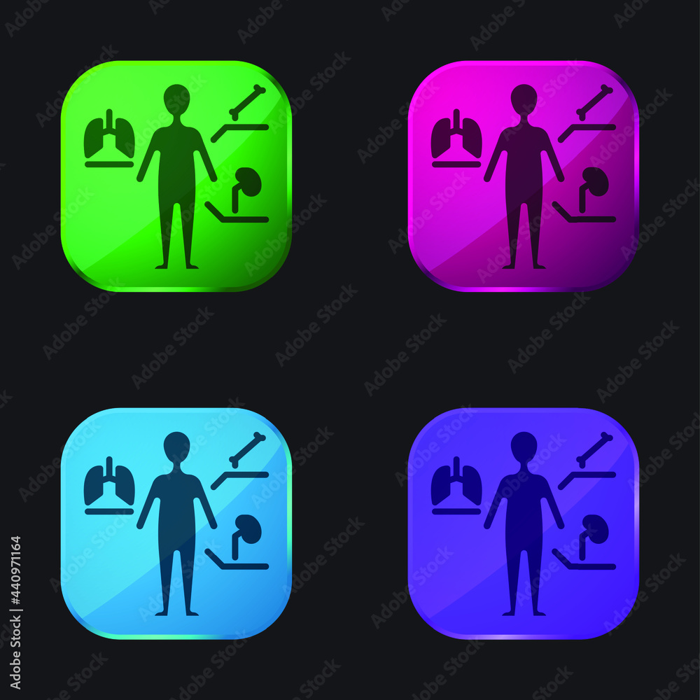 Fototapeta premium Anatomy four color glass button icon