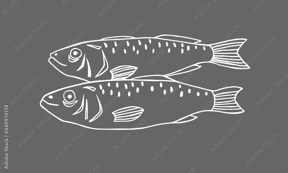 Vector image of fish on gray background Vector image of fish on gray background