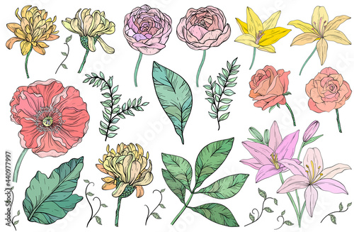 Vintage floral set. Flowers and leaves, summer plants. Floral design.