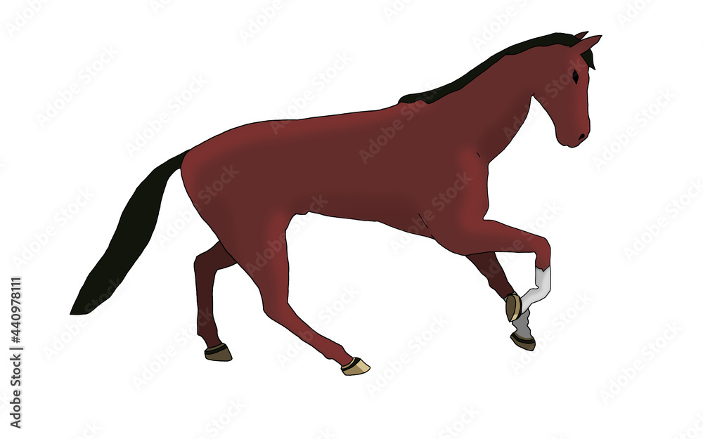 Fototapeta premium red horse galloping alone on a white background