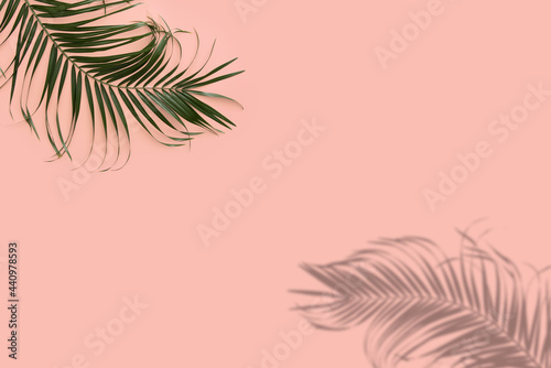 Tropical palm leaves with shadows against pastel pink background. Summer compositon with place for text.