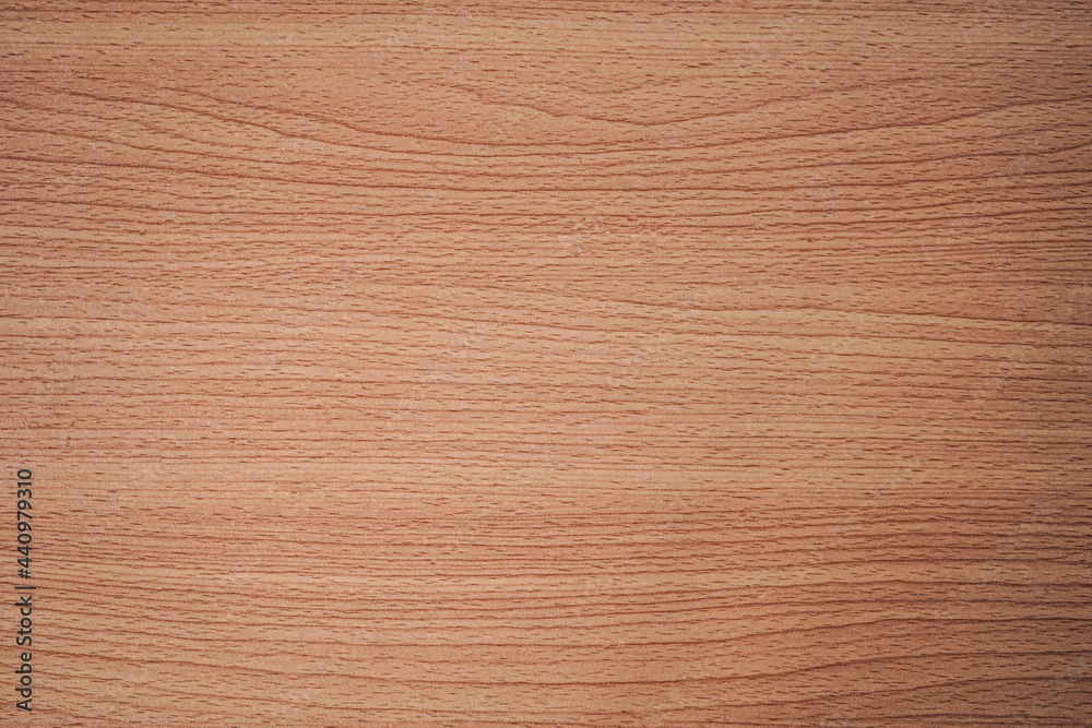 Fototapeta premium Nature wood textured wallpaper background