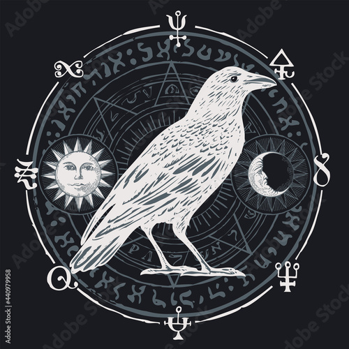Hand-drawn illustration with a sorcery white Raven on a black background with a ritual circle, magic runes, occult symbols, sun, moon. Vector banner on the witchcraft theme with an unusual white Crow