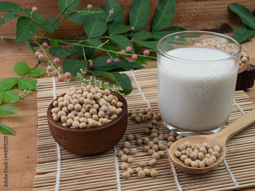 organic soybean in wooden bowl and spoon with soy milk on wooden floor high protein and amino acids