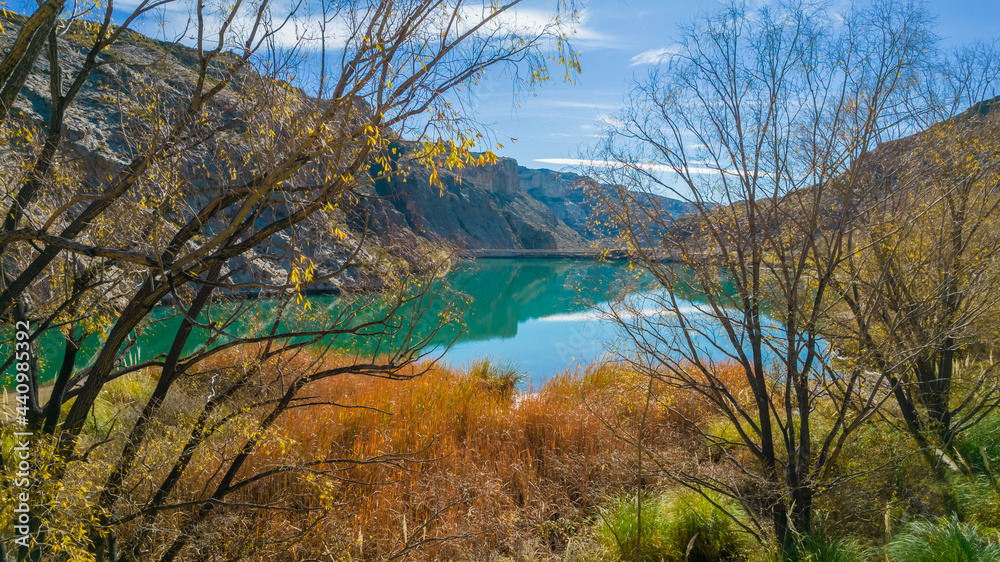trees near lake and mountains in autumn trees near lake and mountains in autumn