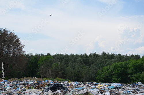 Wysypisko śmieci , Polskie wysypisko śmieci , wysypisko , śmieci, marnować, zanieczyszczenia, charakter, plaza, woda, plastik, śmieci, okolica, wysypisko, kamienie, śmieci, , krajobraz, składowisko